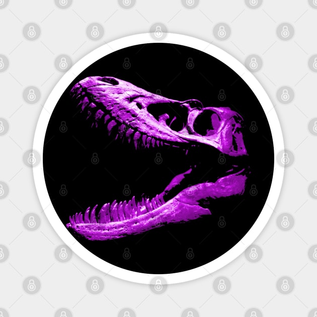 Dinosaur Skull Purple Magnet by RaphaelWolf